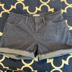 Carve Design Oahu shorts size 8